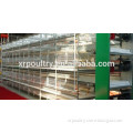 design layer chicken cages for kenya poultry farm